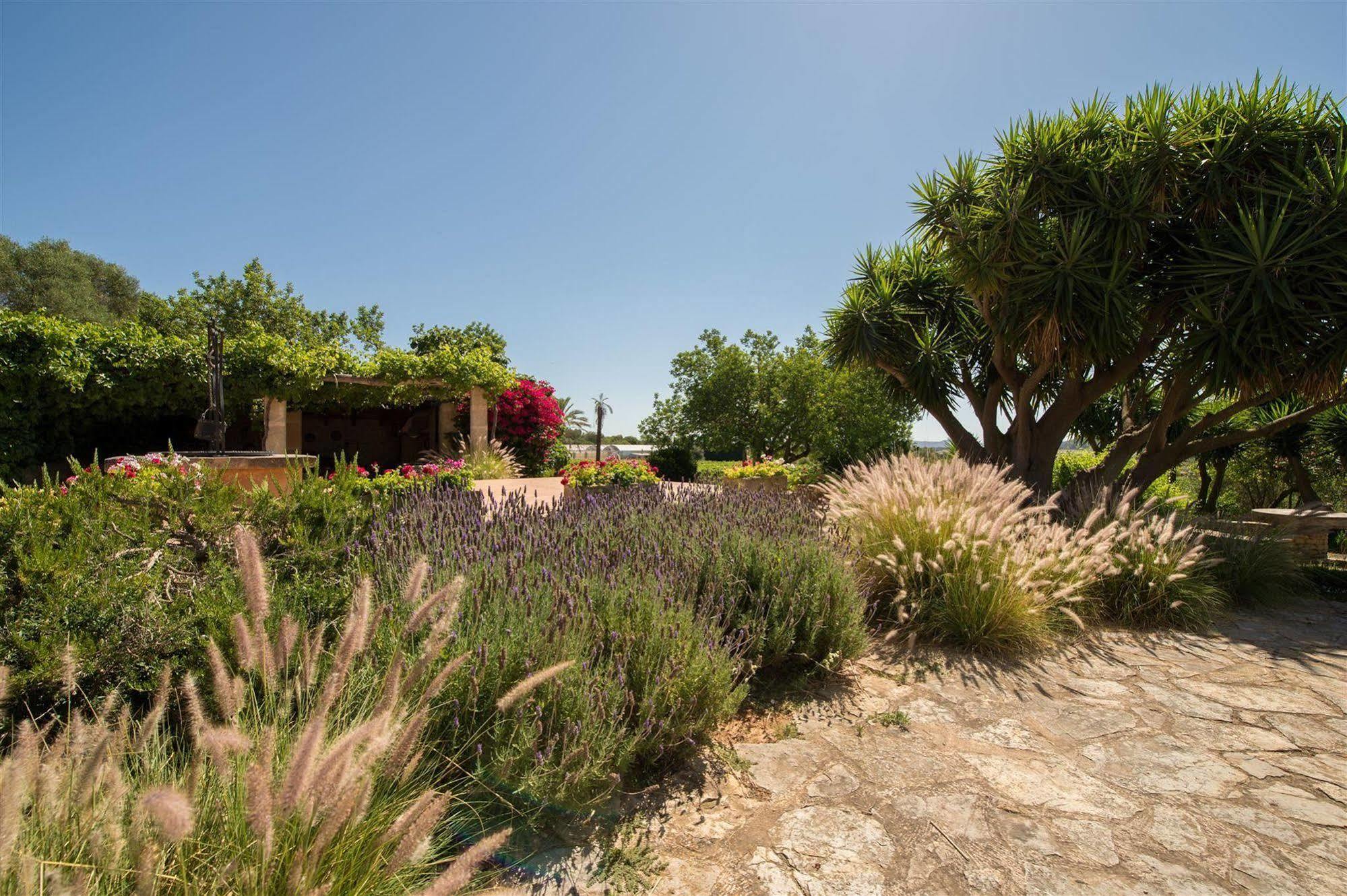 Hotel Rural Can Feliu Porreres Esterno foto
